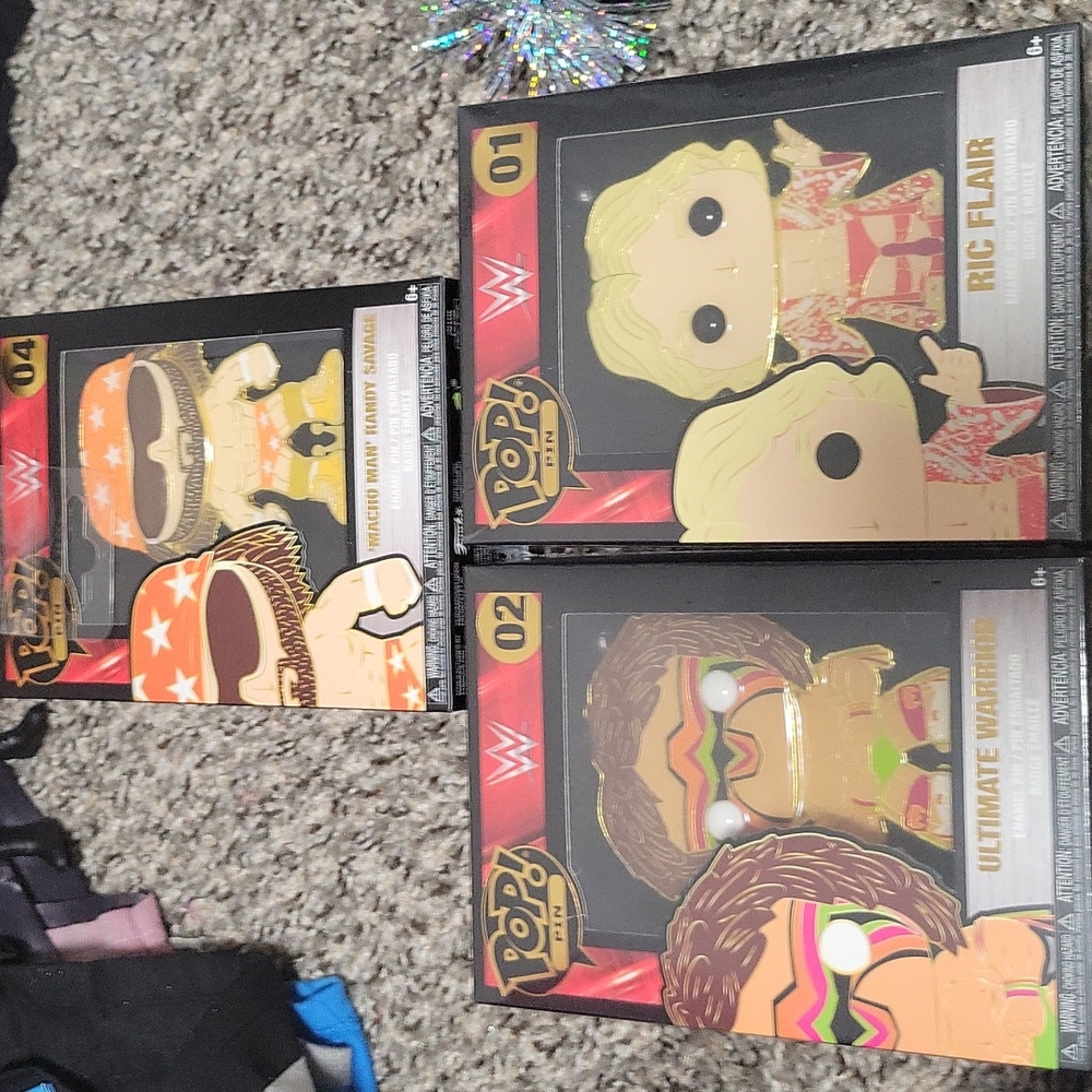 Wwe pins